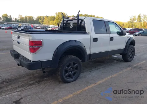 2009 Ford F150 Fx4/King Ranch/Lariat/Platinum/Xl/Xlt z USA, uszkodzony, nr VIN 1FTPW14V09FB36485